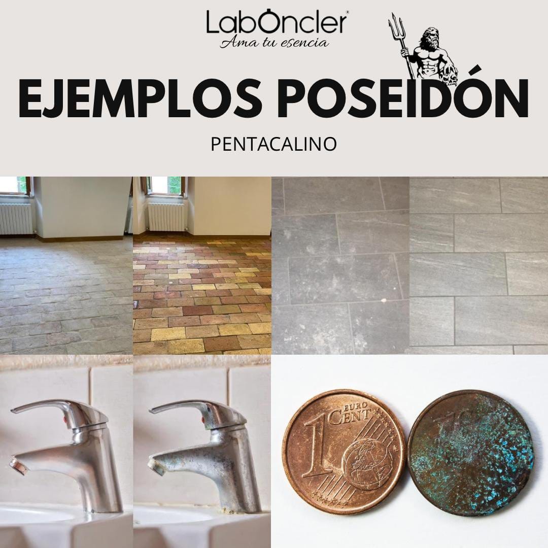 Poseidón Gel Desincrustante WC - Imagen 3