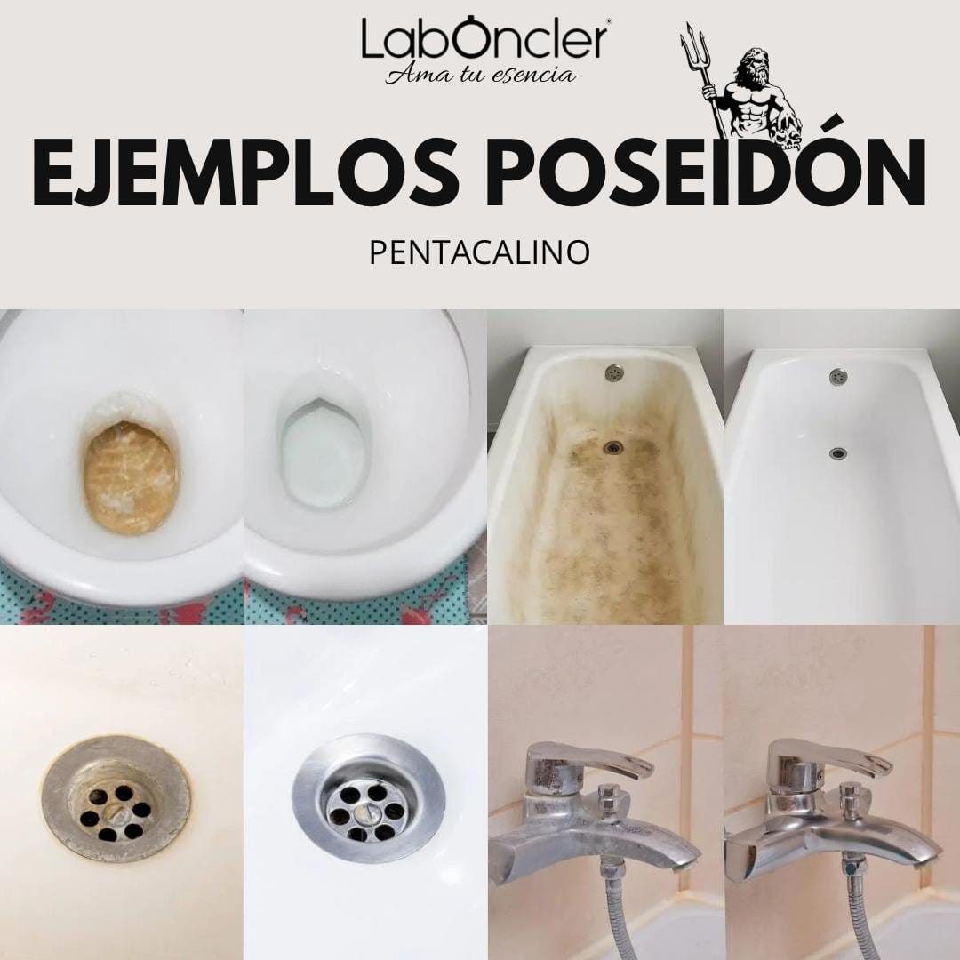 Poseidón Gel Desincrustante WC - Imagen 2